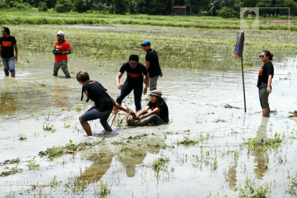 Trò chơi kéo mo cau giữa ruộng, trò chơi truyền thống của Malaysia