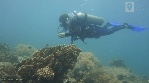 Diving in Nha Trang