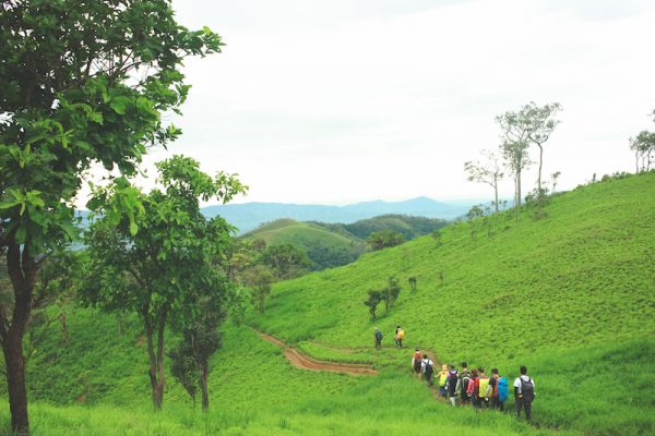 Trekking Features – Phan dung is selected by many people for 2 weekends.
