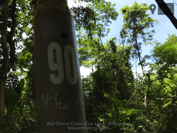 Cột điện trên núi Chứa Chan được đánh dấu từ số 20 - 145
