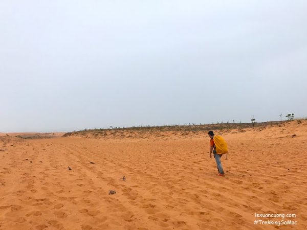 Trekking sa mac 2399 Trekking "sa mạc" lớn nhất Việt Nam: lịch trình - kinh nghiệm - hướng dẫn chi tiết