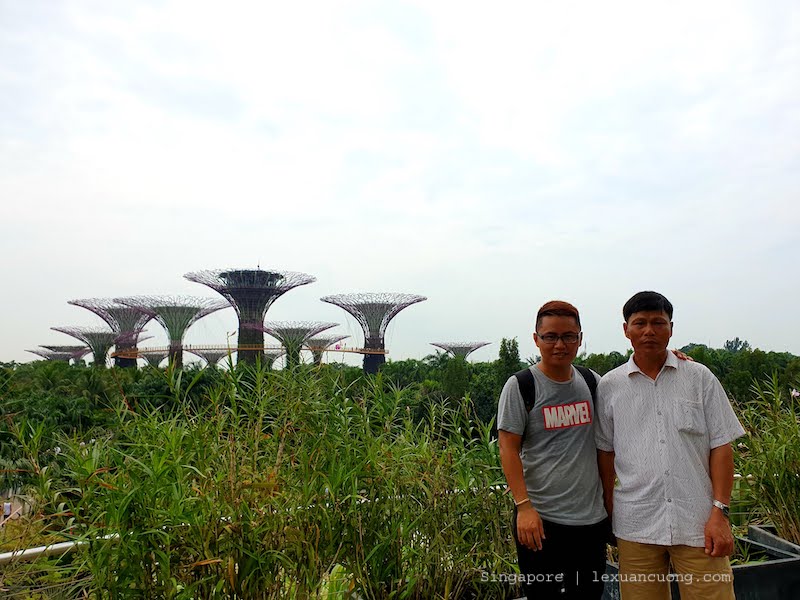 Garrden by the bay Kinh nghiệm và lịch trình chi tiết du lịch Singapore cùng gia đình